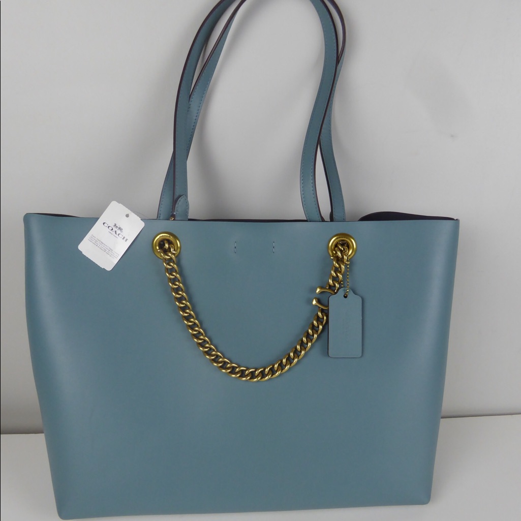 Coach Signature Chain Central Leather Tote Bag Nwt